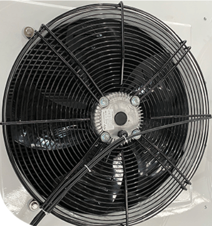 The overhead design of the fan