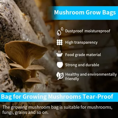 mushroom bag